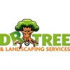 Doctor Trees & Landscape Specialist