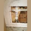 RHD Primary Plumbing
