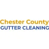 Chester County Gutter Cleaning