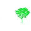 White Birch Builders