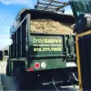 TreeSAVVY