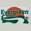 Evergreen Lawn