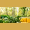Lafayette Deck & Fence