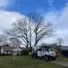 Bradley Tree Experts
