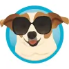 Power Pup Clean