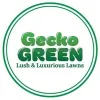 Gecko Green
