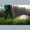 All Green Lawn & Tree Care