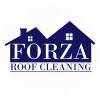 Forza Roof Cleaning