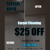 Carpet Cleaning Houston
