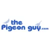 The Pigeon Guy