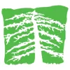 Island Skyline Tree Care