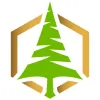 Grace Tree Service