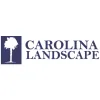 Carolina Landscape