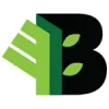 Branch Tree Service