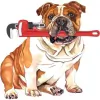 AA Express Plumbing Service
