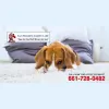 Sam Millers Carpet Care
