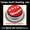 Tampa Roof Cleaning