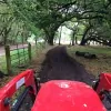 SouthShore Farms