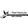 Angel Systems