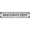 Bernard's Pest