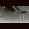 Carpet Management