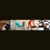 Spotless House Cleaning Services