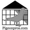 Pigeonpro's