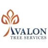 Avalon Tree Services