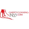 Carpet Cleaning Pro