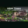 A&M Trees