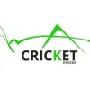 Cricket Pavers