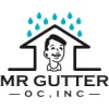 Mr Gutter