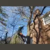 Liberty Tree & Landscape Management