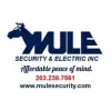 Mule Security & Electric