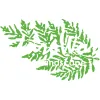 Nature Works Landscape Design