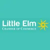 Little Elm Full Pool Cleaning