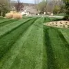 Rob's Lawn Mowing