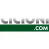 Cicioni Radiator Repair Works