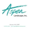 Aspen Landscape
