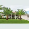 Paradise Palms