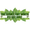 Tree Service Fort Worth