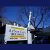 Arbor Care Tree Service
