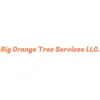 Big Orange Tree Services