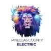 Pinellas County Electric