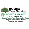 Romeo Tree Service