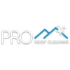 Pro Roof Cleaning