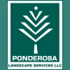 Ponderosa Landscape