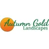 Autumn Gold Landscapes