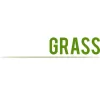 Plush Grass