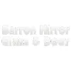 Barron Mirror Glass & Door